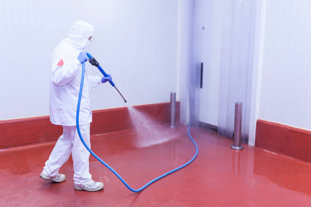 Trusted Elkridge, MD Pressure Washing Services Experts