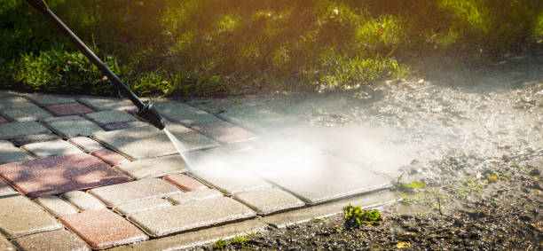 Best Roof Washing  in Elkridge, MD